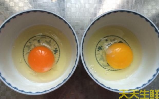 广州蔬菜配送告诉你常见鸡蛋有哪些品种?(图2) 广州蔬菜配送告诉你常见鸡蛋有哪些品种?(图2)