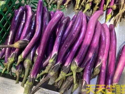 广州农产品配送公司告诉你,常见茄子的种类有哪些?(图3) 广州农产品配送公司告诉你,常见茄子的种类有哪些?(图3)