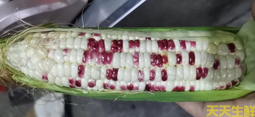 ũƷ͸㣬׵ƷЩ(ͼ4)