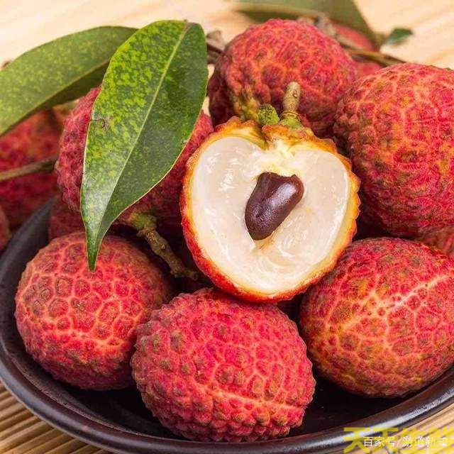 荔枝的品种有哪些?广州蔬菜配送公司科普(图10) 荔枝的品种有哪些?广州蔬菜配送公司科普(图10)